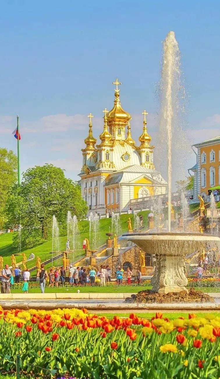 2da14368fed01e7572c1858984aac8d2-sz_216873 2da14368fed01e7572c1858984aac8d2-sz_216873