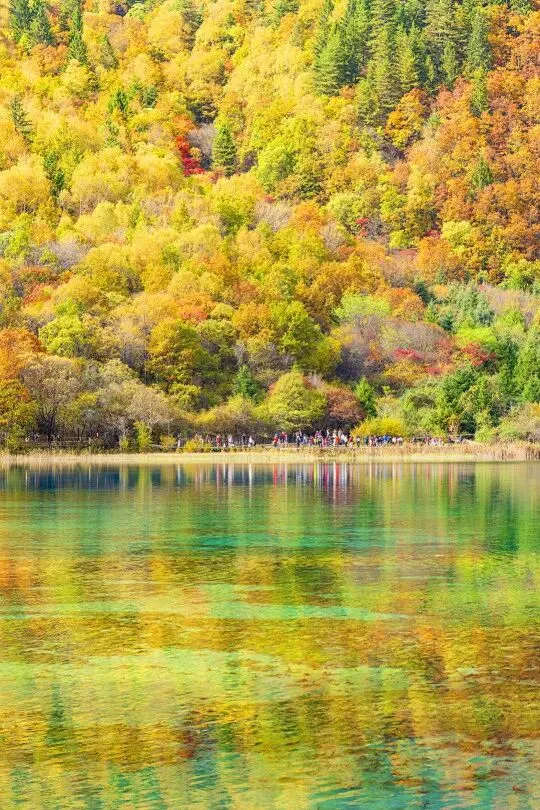 2da34285e0a94dc98bc8418abc964d2e-sz_151483 2da34285e0a94dc98bc8418abc964d2e-sz_151483