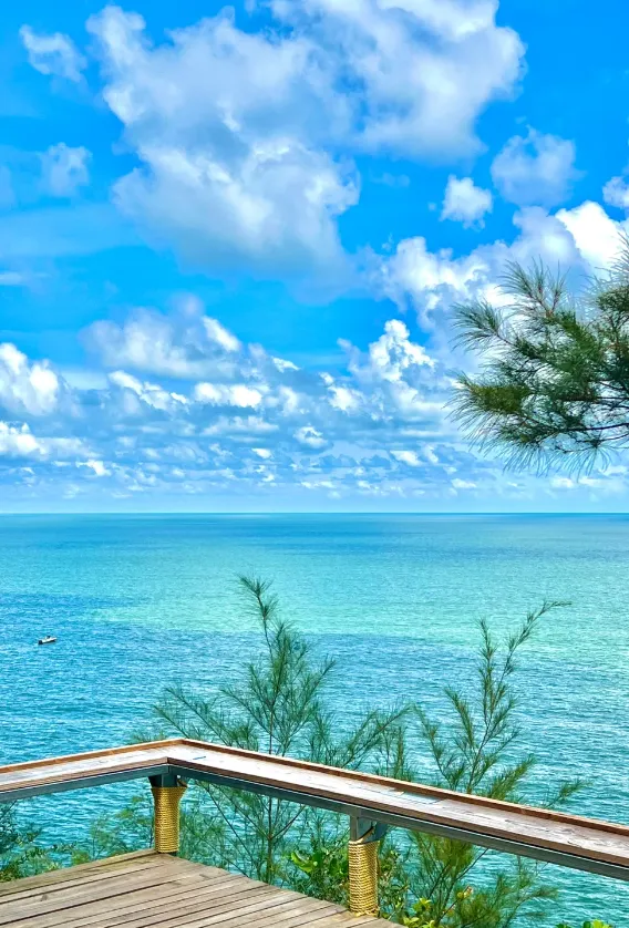 2e48b7442531e82025969e65e490c130-sz_1177390 2e48b7442531e82025969e65e490c130-sz_1177390