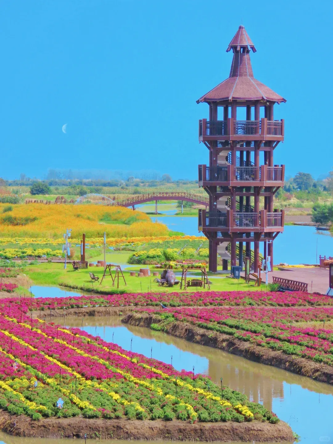 2e61adfc5f977084754ac680e9d07905-sz_2660975-1