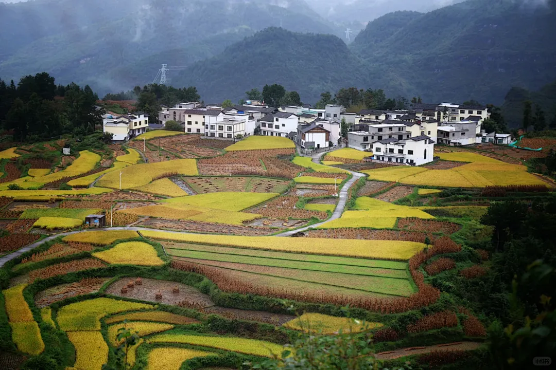 2f15d98f93d97d9b3d6d6fe77db4b34d-sz_3607949-1