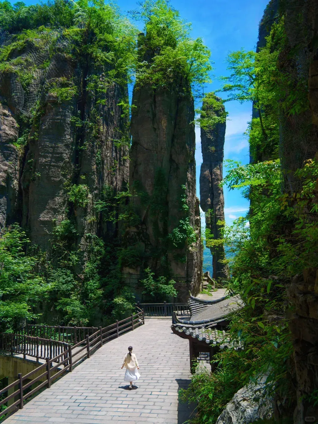 2f2d03070f6449d701d849be5c61a365-sz_3918467-2 2f2d03070f6449d701d849be5c61a365-sz_3918467-2