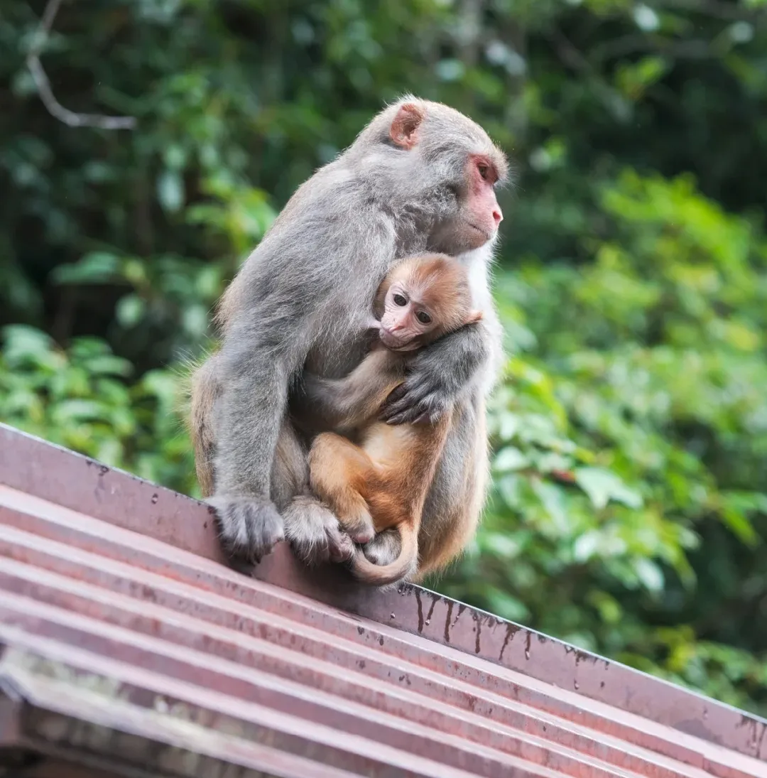 2fc9dd15f7dd27672849edd3f5fb1424-sz_3206209 2fc9dd15f7dd27672849edd3f5fb1424-sz_3206209