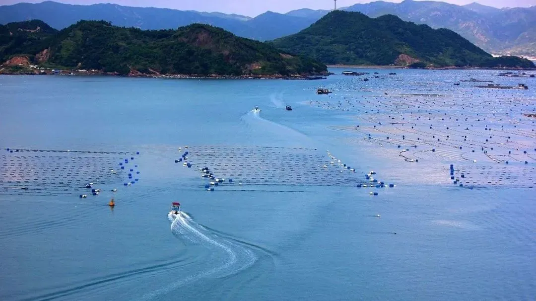 30160d498e716c5928f734615dc09e7c-sz_100524 30160d498e716c5928f734615dc09e7c-sz_100524