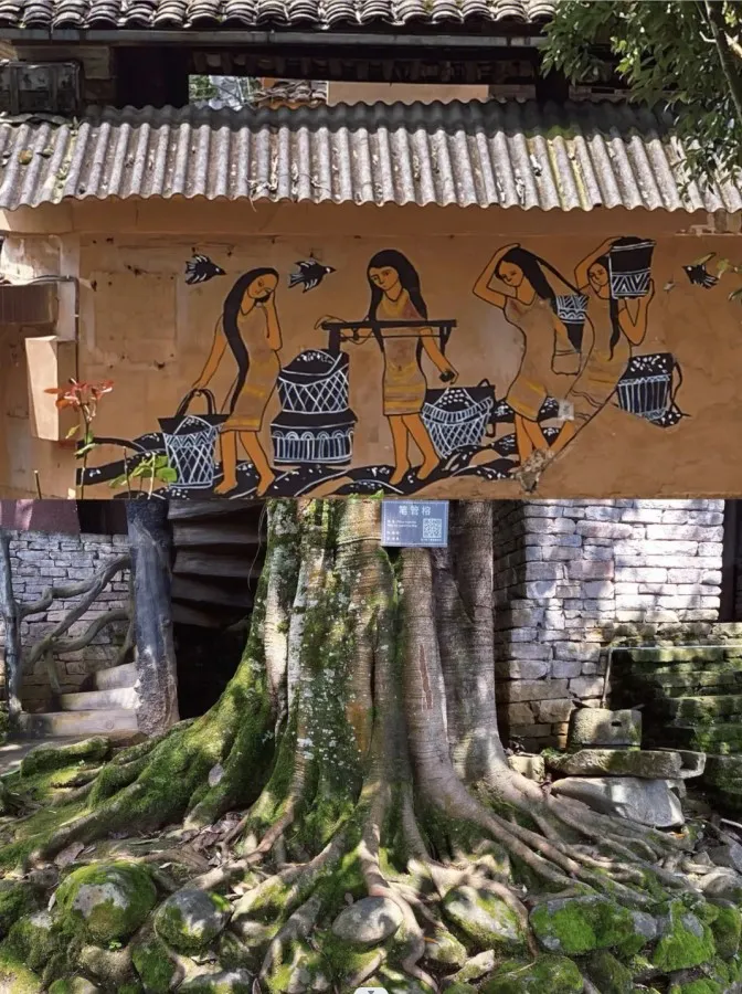 304c1f48c77c8c57f37fb82d1158345d-sz_225576