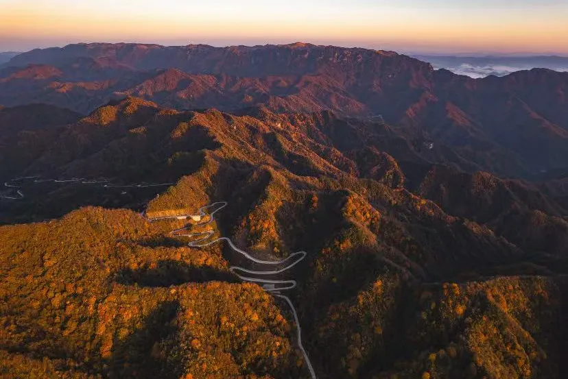 306e0c4ed33a73e9f4187f82c6fbd7ed-sz_967224