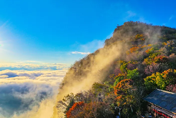 307af643cc46405f2de0ed90cacdc302-sz_878337 307af643cc46405f2de0ed90cacdc302-sz_878337