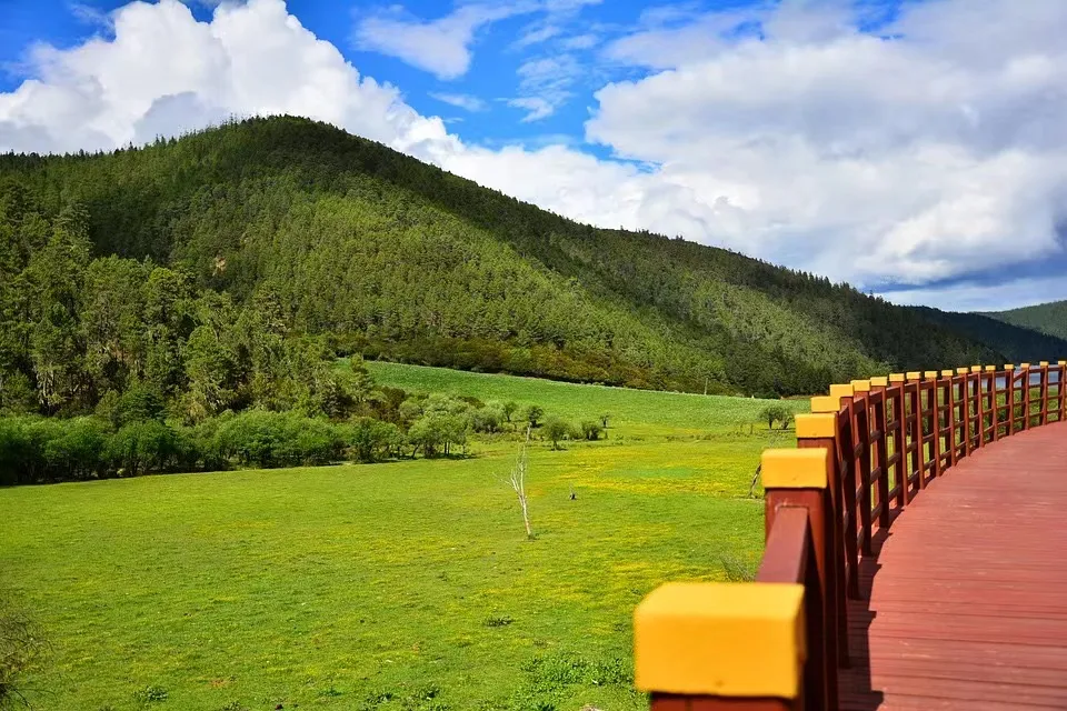 3083245c46329856787a70007b6a0af4-sz_286181 3083245c46329856787a70007b6a0af4-sz_286181