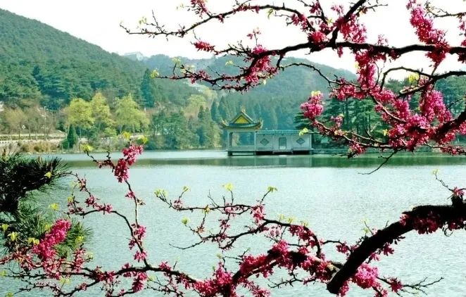 30f1bd6cde45434c3f649ac8636026d8-sz_638078