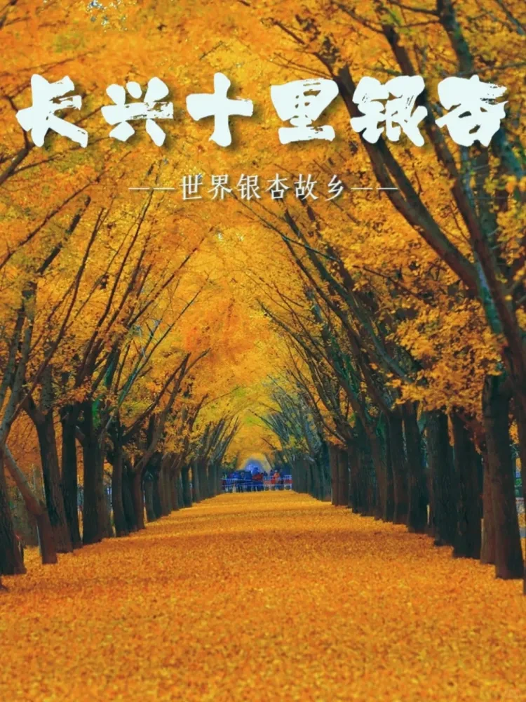 30f6efb8064f47b115b68a30da0f02dc-sz_3459827 30f6efb8064f47b115b68a30da0f02dc-sz_3459827