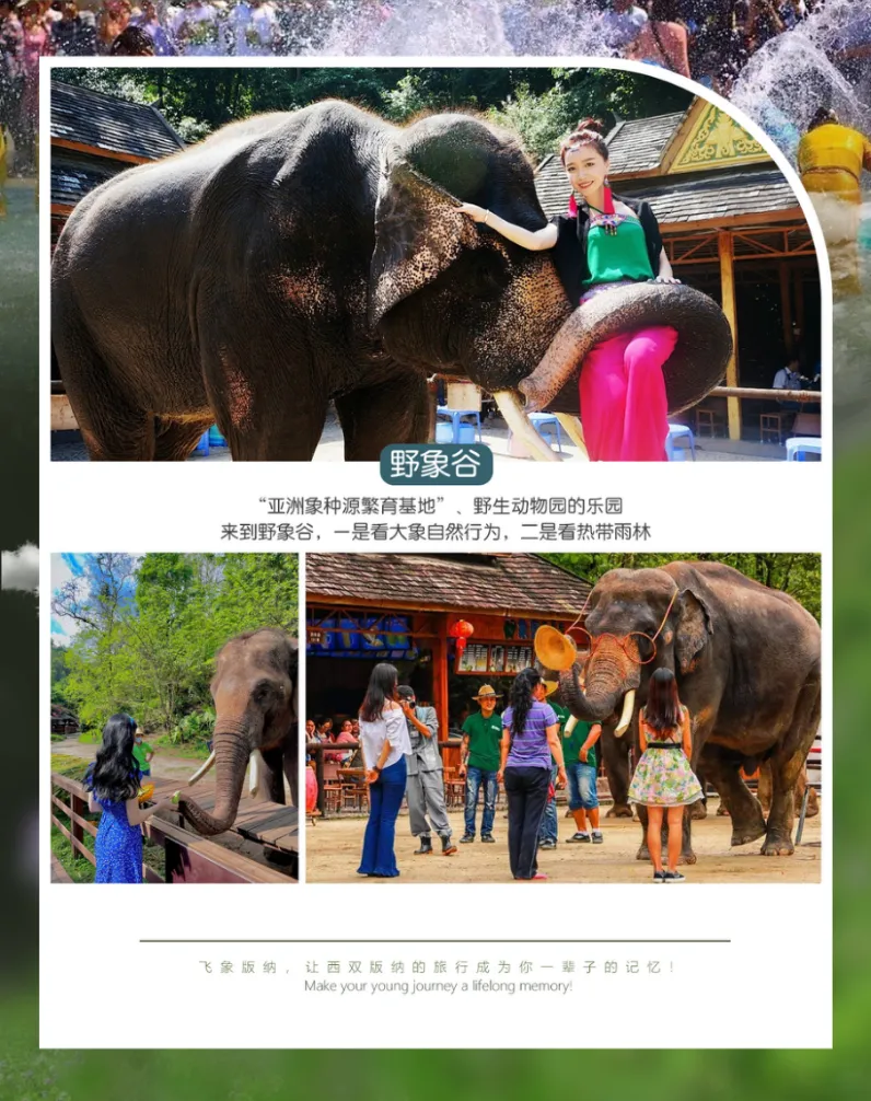 311c6e92c33ce469d0b1e38e0269394f-sz_1376310-1