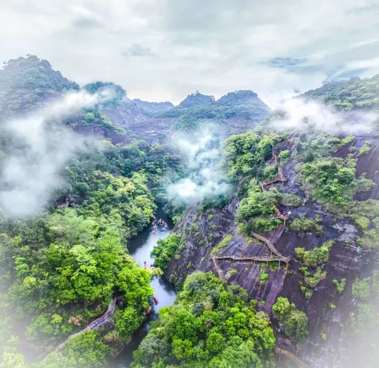 312d032e375021d559723a4bfcaec87b-sz_2168792