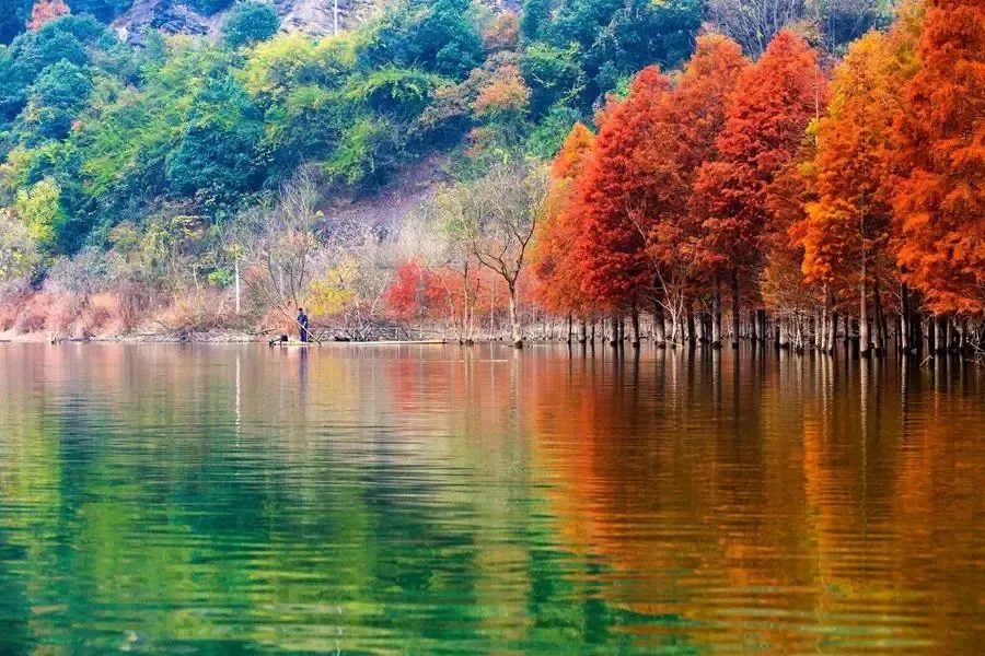 315b733bbbda0f1b3532c884921b2435-sz_476617