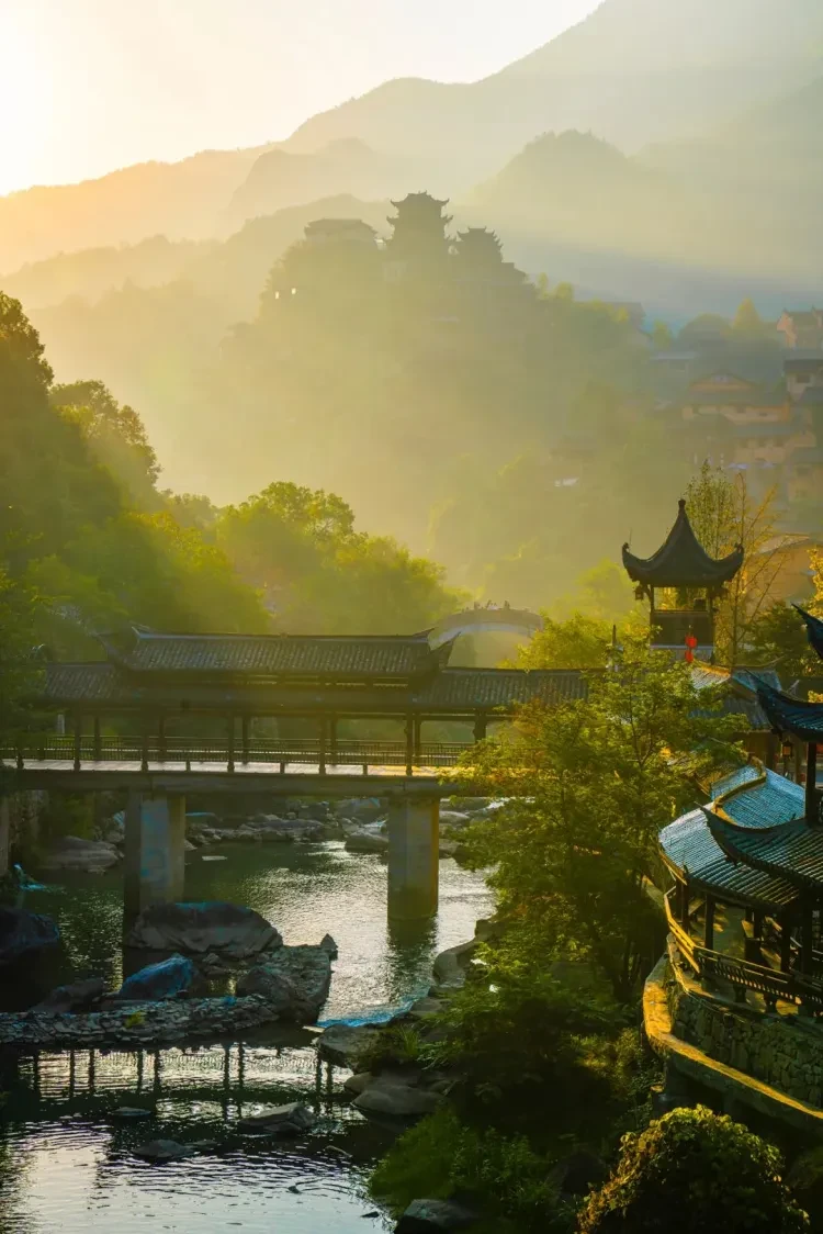 31761c3f7a3f746e33c47a8b5bbc6142-sz_243691 31761c3f7a3f746e33c47a8b5bbc6142-sz_243691