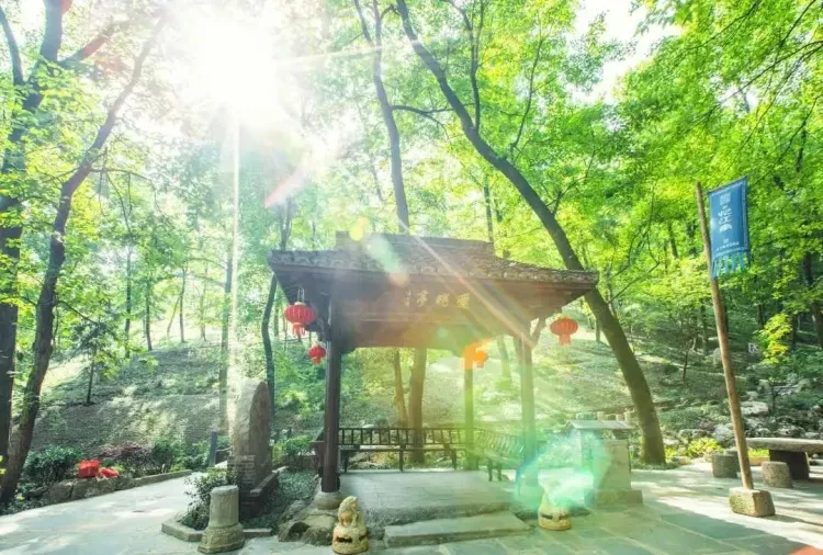 31b294f8bc4b7adaed3c0b7f9aa9707a-sz_191058-1 31b294f8bc4b7adaed3c0b7f9aa9707a-sz_191058-1