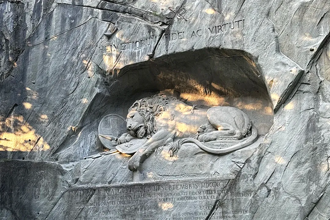 31b6f690bc7a9f6f287539e0d3a346ef-sz_3136434