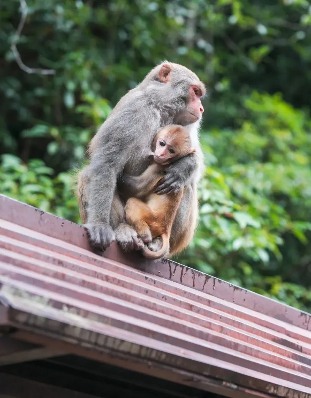 323c2b5bb1f324ce5269a48cb327aeb9-sz_1922813 323c2b5bb1f324ce5269a48cb327aeb9-sz_1922813