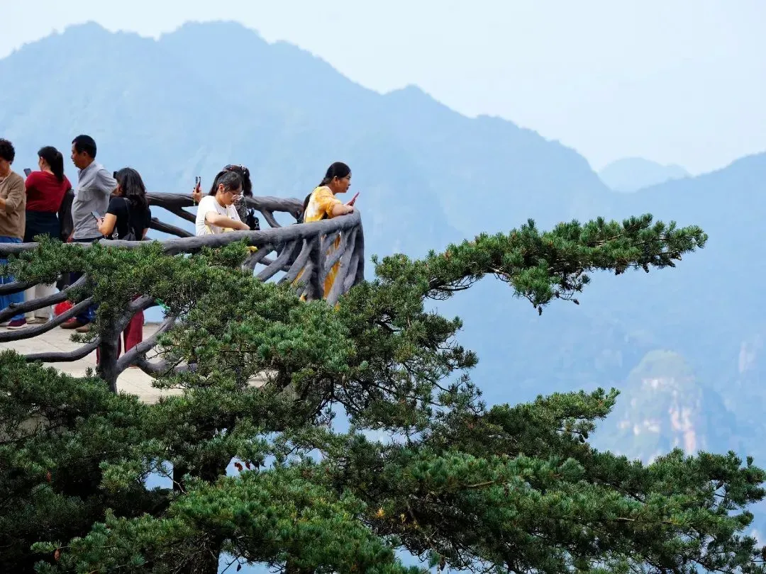 324bd08253c3c2617645b9f11171f6ed-sz_1338860 324bd08253c3c2617645b9f11171f6ed-sz_1338860