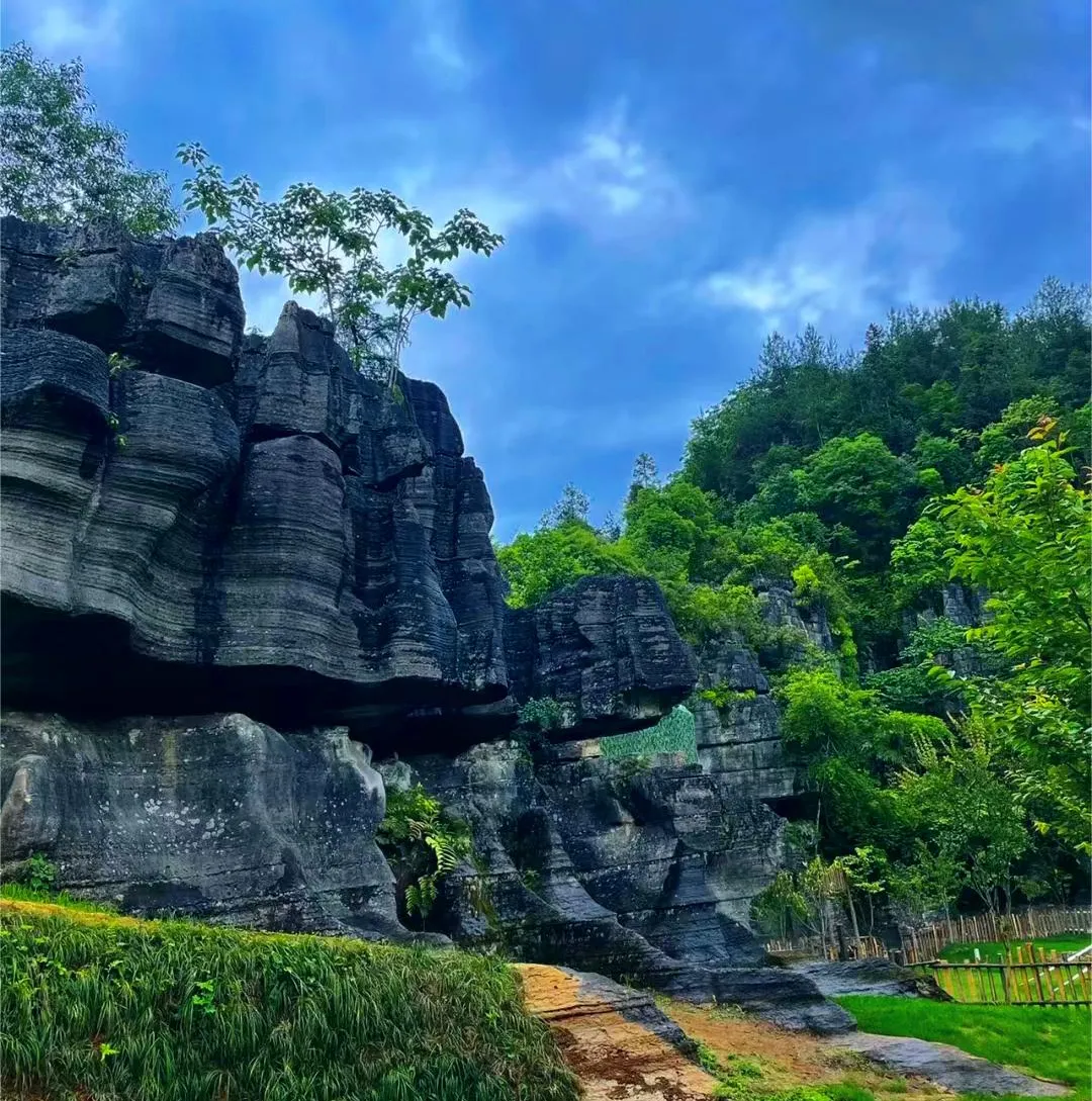 3332fc93efdabfa37e8e0bca13c4da1b-sz_2365245