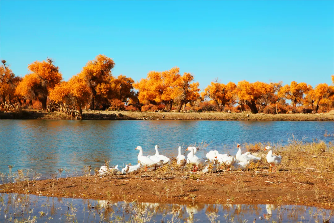 33381eae7ced8cbeef5122599224e146-sz_1137193 33381eae7ced8cbeef5122599224e146-sz_1137193