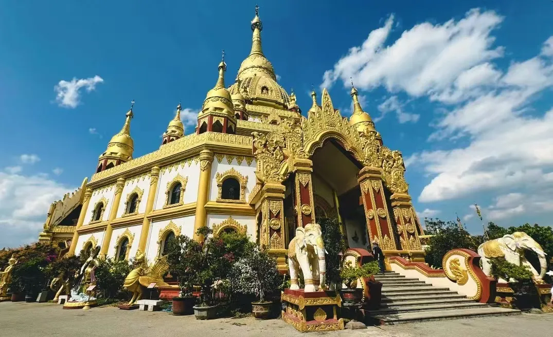 337bd40a96b2453b3ee28b9aa367018a-sz_245224