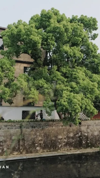 338ae2aee40bae07b518732f8c849755-sz_531359