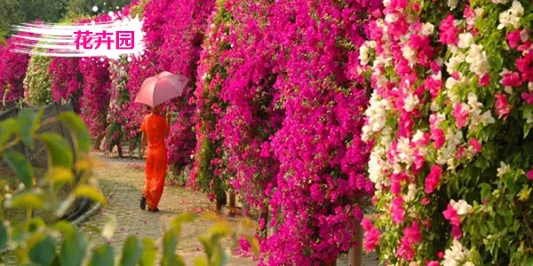 33a63489372c323ad3dd71dea05ce56b-sz_112409 33a63489372c323ad3dd71dea05ce56b-sz_112409