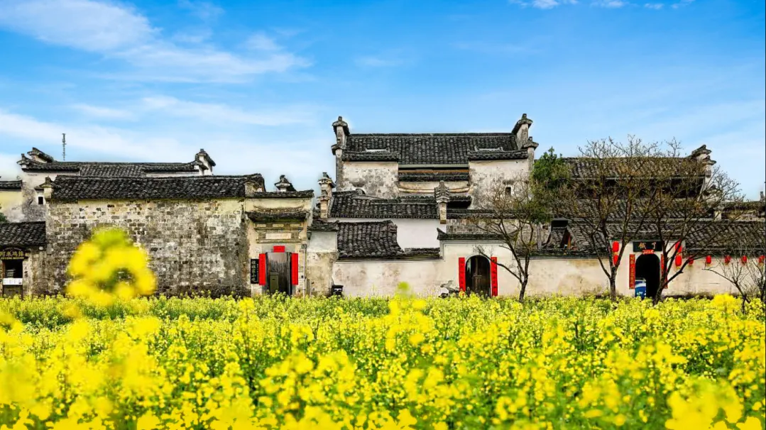 33bb341451af01e9bb88f3c9a43760db-sz_1245676 33bb341451af01e9bb88f3c9a43760db-sz_1245676