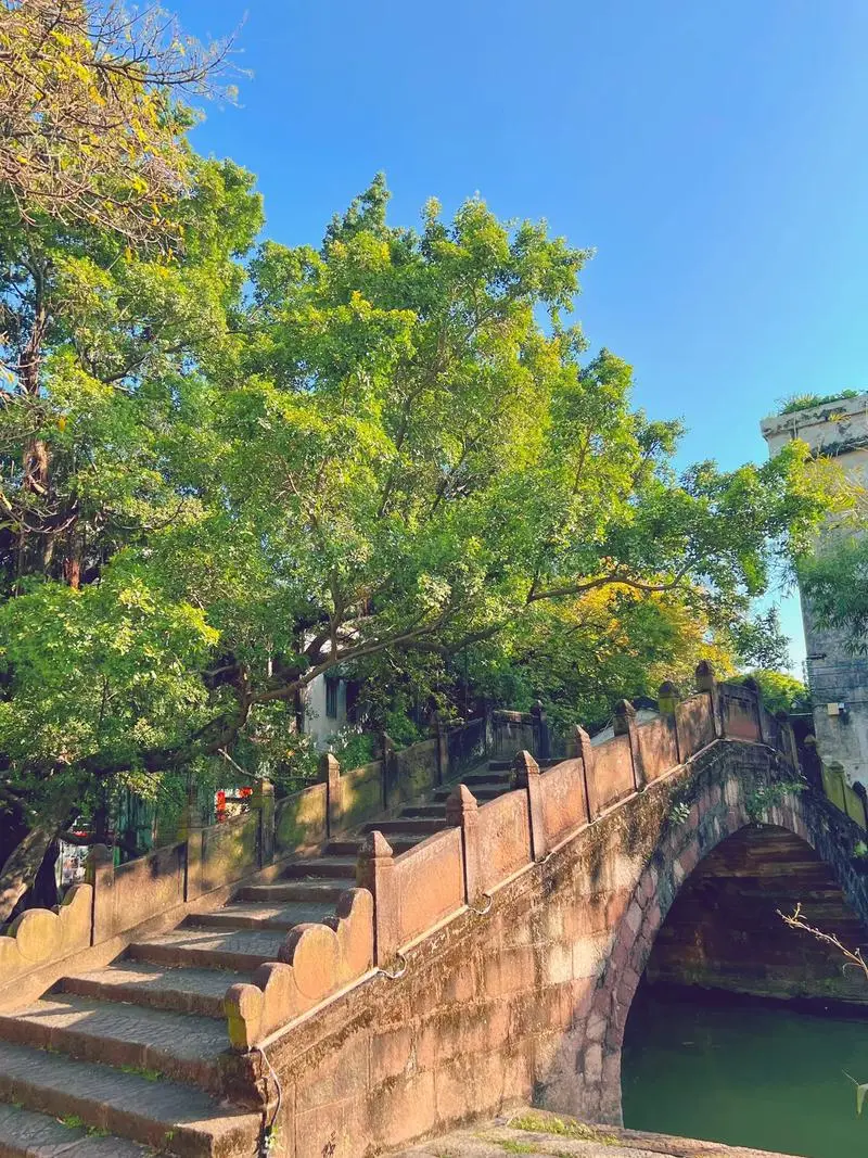 33c04d1aa226577b9342c0a64004f8c2-sz_224617 33c04d1aa226577b9342c0a64004f8c2-sz_224617