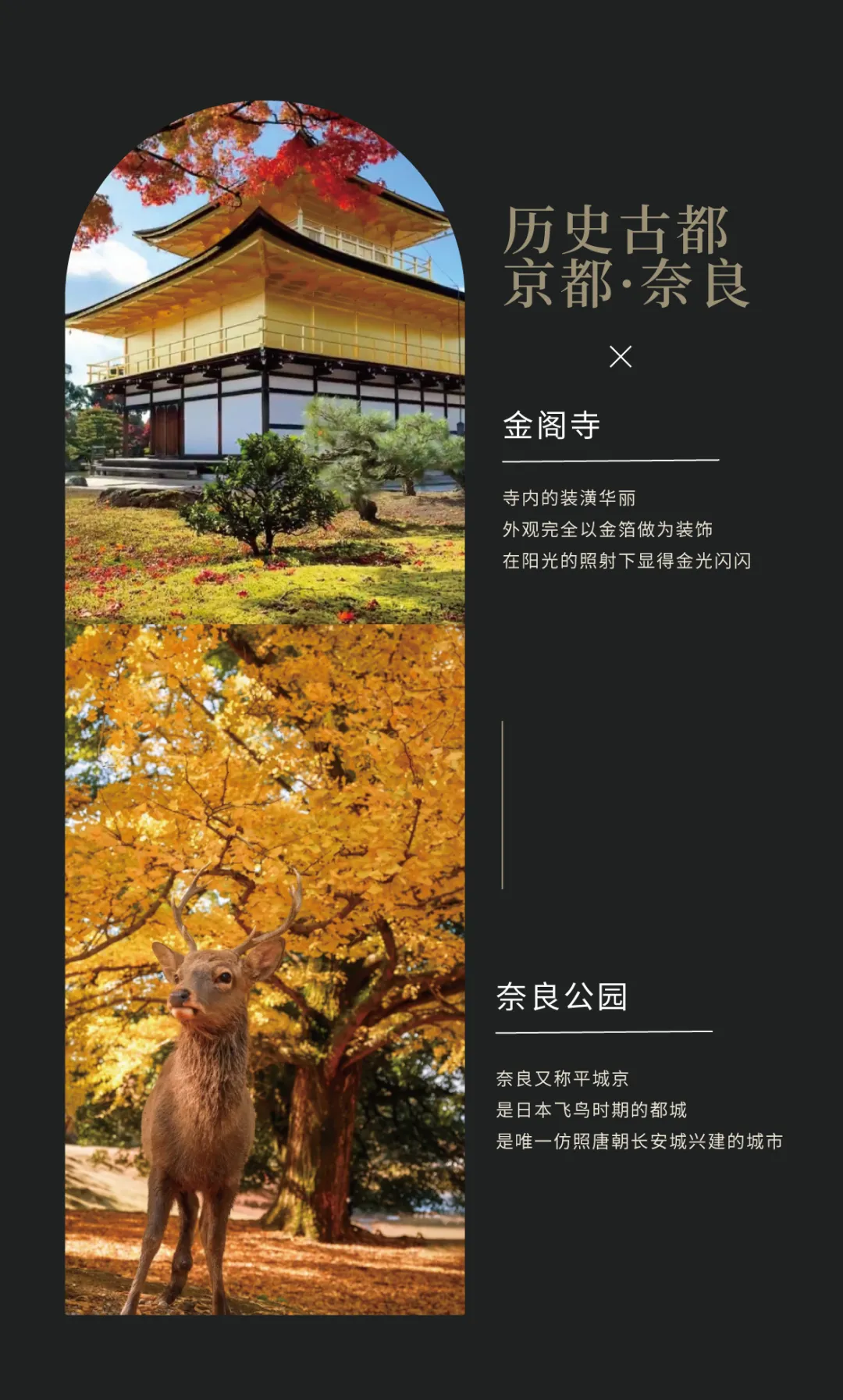 33eb6021b81ad327c70539913b0c10a8-sz_1096648