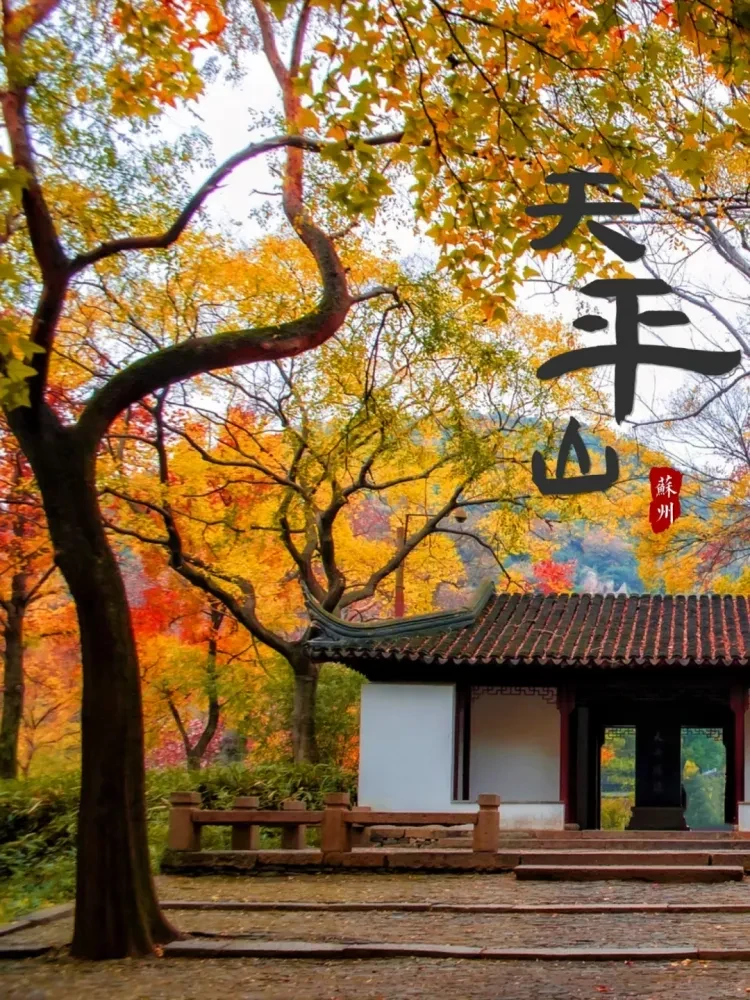 33ec6c95d2c62c38b5b06cdeab069464-sz_4006020 33ec6c95d2c62c38b5b06cdeab069464-sz_4006020