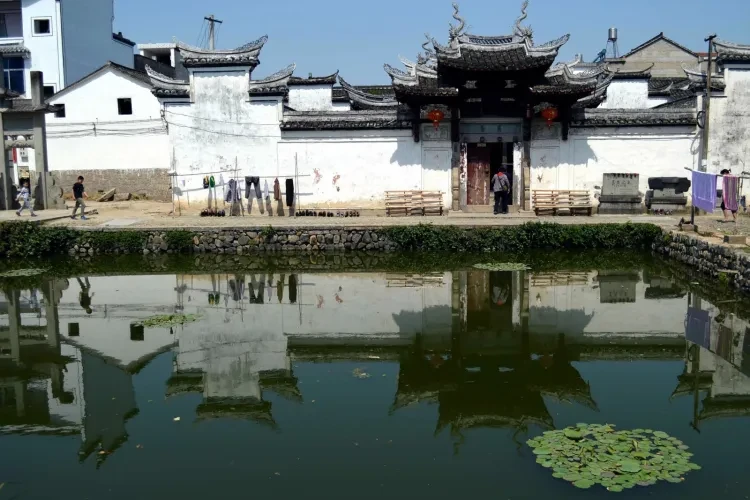 341ec5cc7f7f8a3ab38976d71e733ed7-sz_748800