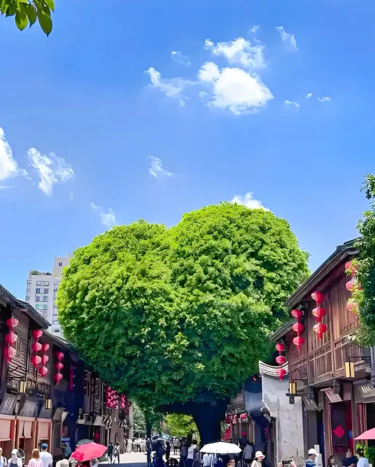 344fa85c20cee1b7ba2ef51b55cfaff4-sz_2433673