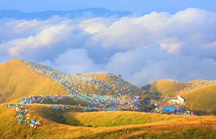 34e2d8957baed5356e8976936a75cd13-sz_74598-1