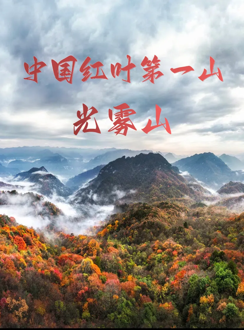 35761559c15ff9b39ba76ae7d3847266-sz_1452623-1