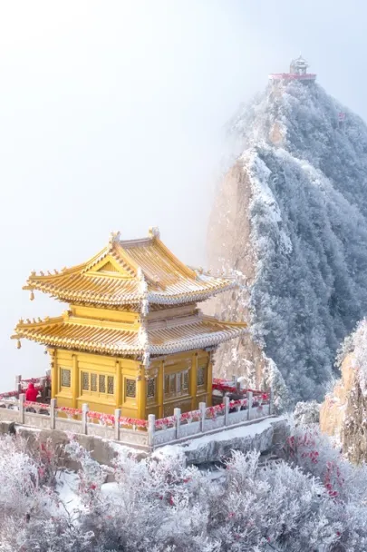 35e39a0de6fd7146947ce7b79da1625a-sz_224274 35e39a0de6fd7146947ce7b79da1625a-sz_224274