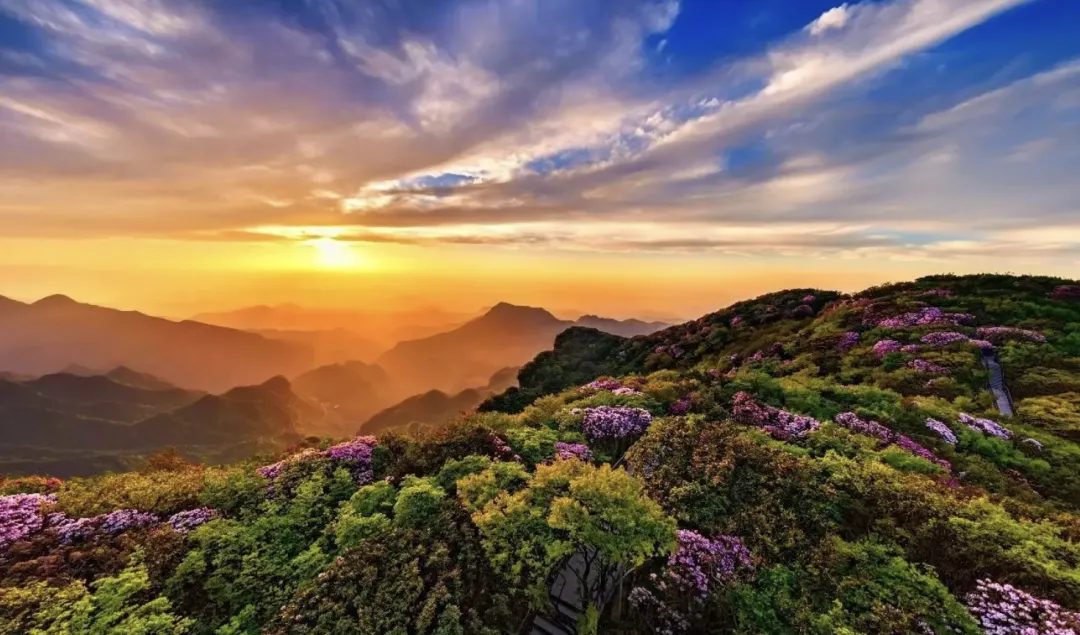 35fbfa9351334748c0acfc58101176ee-sz_2185048-1 35fbfa9351334748c0acfc58101176ee-sz_2185048-1