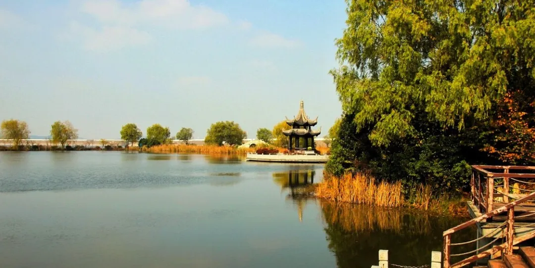 3651980dd67250935433b49132a26e86-sz_1163190