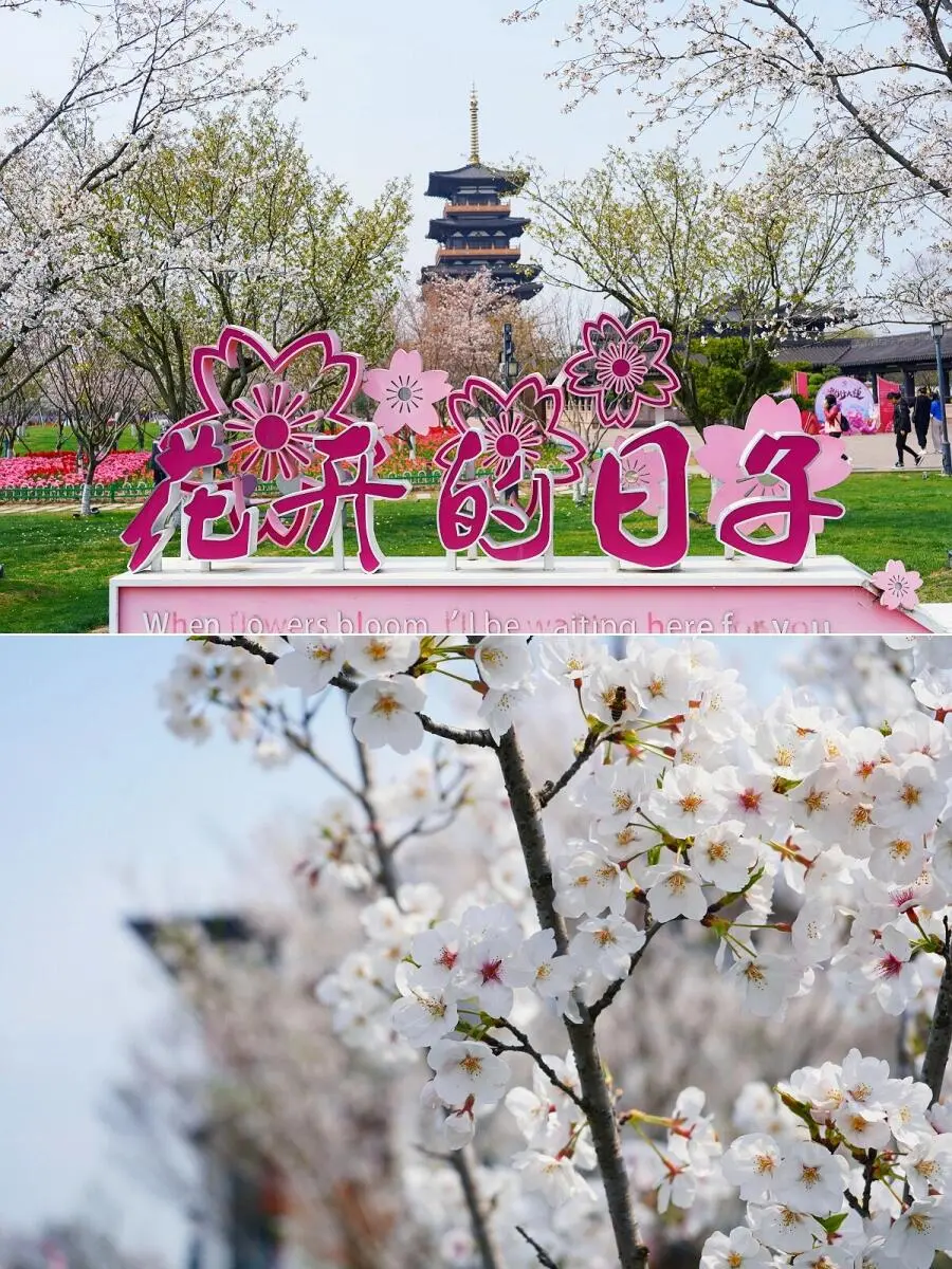 36539fa9355b7683fc7dc7da3181ed78-sz_239316 36539fa9355b7683fc7dc7da3181ed78-sz_239316