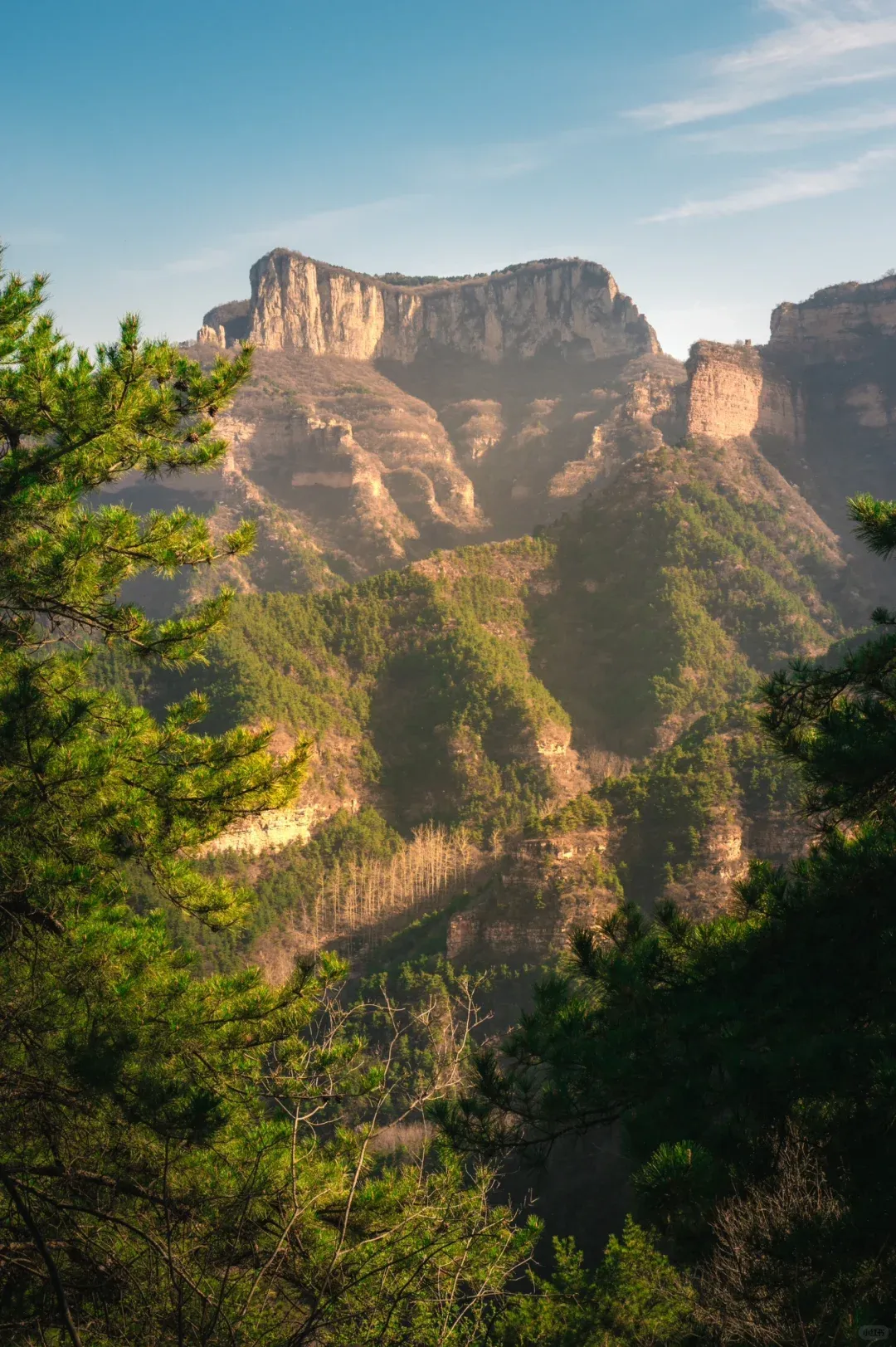 365d3556075abe362914e90a10a30ff7-sz_2468107 365d3556075abe362914e90a10a30ff7-sz_2468107