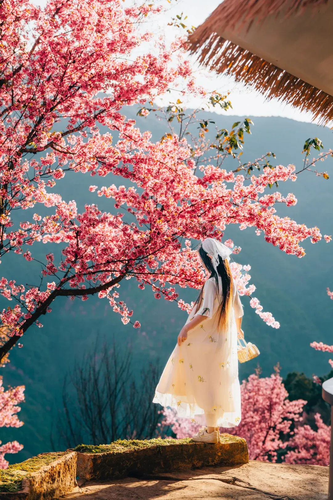 3697ca3302546bdec0caafd6e3c84424-sz_3893641-1 3697ca3302546bdec0caafd6e3c84424-sz_3893641-1