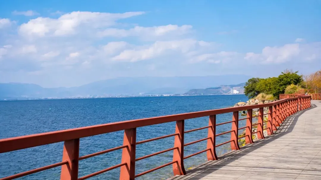 36a22e6e55fb10722a7f867c3ea7ef16-sz_98700 36a22e6e55fb10722a7f867c3ea7ef16-sz_98700