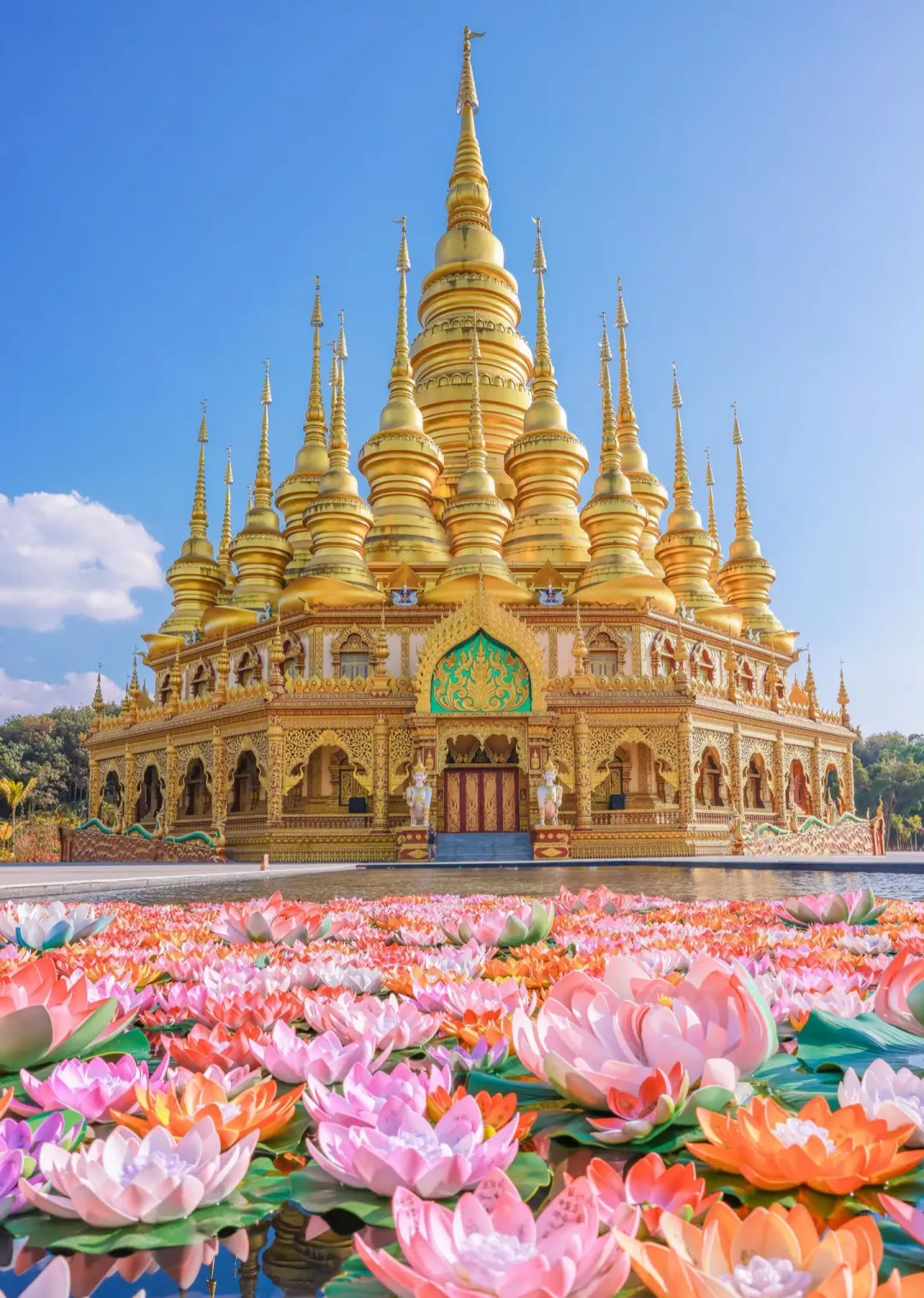 36bf5e967041df12f642bdeb76f2dbec-sz_745932 36bf5e967041df12f642bdeb76f2dbec-sz_745932