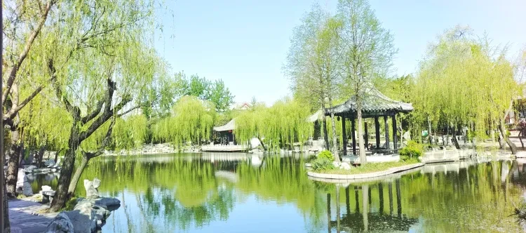 36f3fdb30cb8dd53daa45fb524c9fbbe-sz_4612541