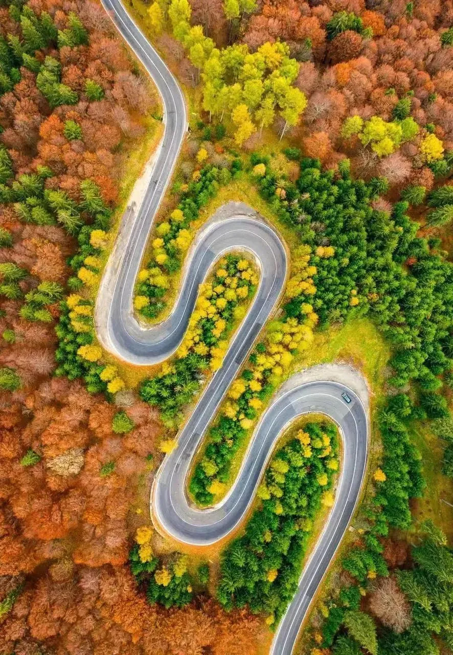 37ae8177f574d8dbe2ed5da50d9370db-sz_375496