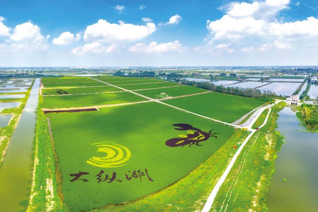 11月3日出发【盐城宝龙酒店599元纯玩五日游】含4自助早8正餐,免费麻将唱歌,船游大纵湖景区,看九九艳阳天表演