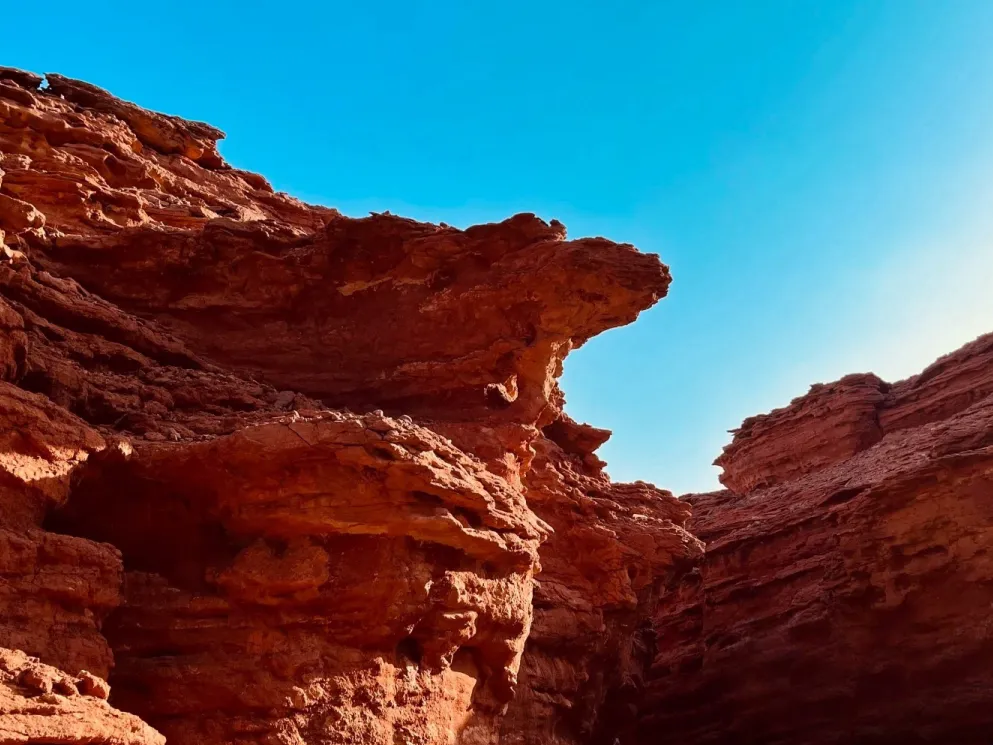 388f162d3f51f5546a71c3351d3907a2-sz_1335623 388f162d3f51f5546a71c3351d3907a2-sz_1335623