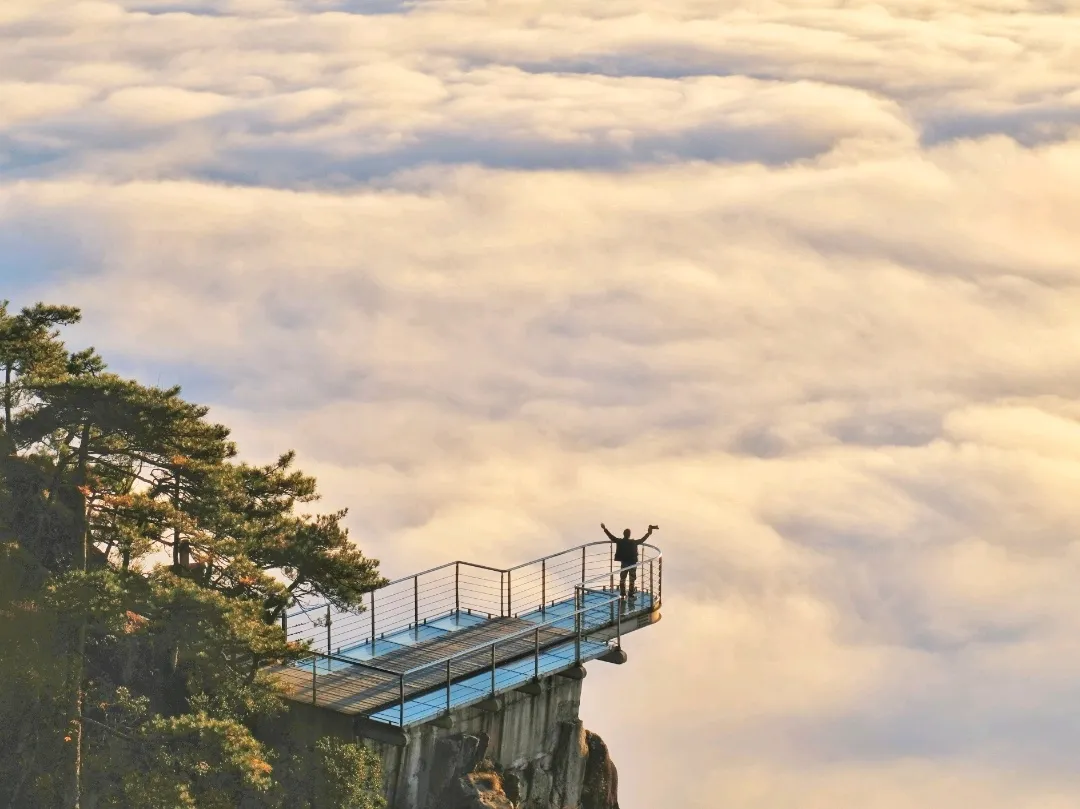 38c9fabaacca566a556eb72b227dd18c-sz_249183 38c9fabaacca566a556eb72b227dd18c-sz_249183