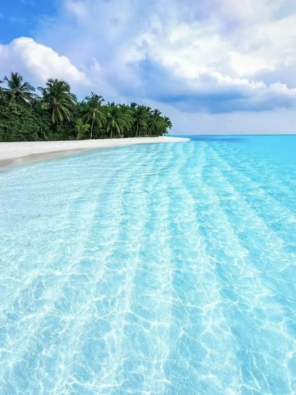 38ffd958580c8d1c7808477dece5b156-sz_1809915 38ffd958580c8d1c7808477dece5b156-sz_1809915