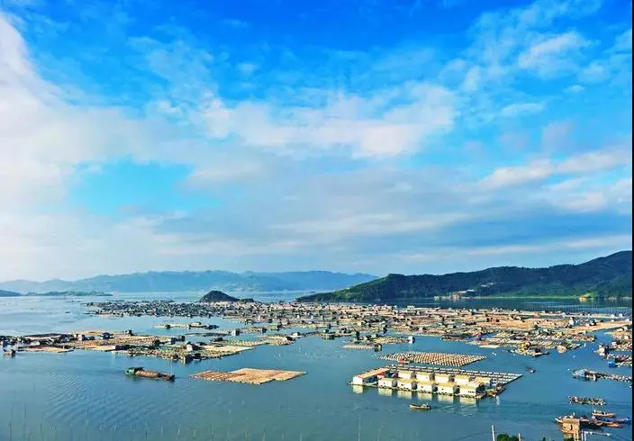 39016ed9ddfeb024869d1084f730c57f-sz_51518 39016ed9ddfeb024869d1084f730c57f-sz_51518